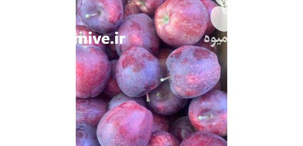 قیمت خرید سیب قرمز تکاب در گروه خرید فروش عمده سیب - زرد و قرمز گلاب پاییزه در یکمیوه -عکس1