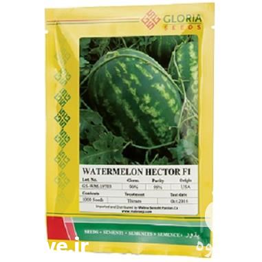 قیمت خرید بذر هندوانه هکتور در گروه خرید فروش بذر - انواع محصول کشاورزی گوجه کتان میوه درخت در یکمیوه -عکس1