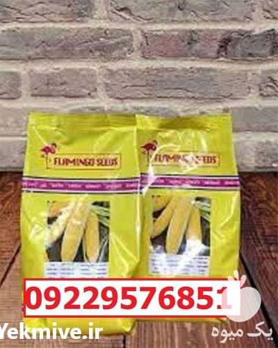 فروش بذر ذرت فلامینگو اصل در اصفهان در گروه خرید فروش بذر - انواع محصول کشاورزی گوجه کتان میوه درخت در یکمیوه -عکس1