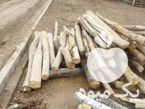 خرید چوب سقفی و درخت در تکاب در گروه خرید فروش عمده چوب و زغال- زغال چوب گردو تبریزی خام در یکمیوه -عکس1