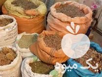 قیمت خرید گیاهان دارویی مخصوص عرق کشی در گروه خرید فروش عمده گیاهان دارویی - معطر خشک خواص دار در یکمیوه -عکس1
