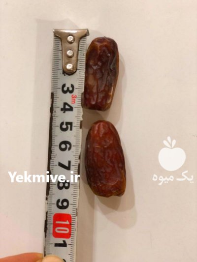 خرما پیارم زیر قیمت در گروه خرید فروش عمده خرما - کبکاب تازه زاهدی خشک خارک در یکمیوه -عکس2