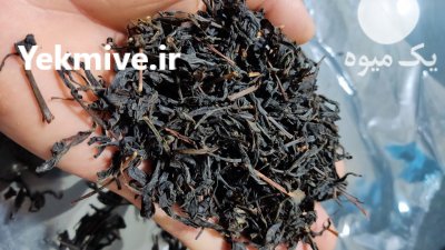 چای دستی در گروه خرید فروش عمده چای - سبز ترش کوهی سیاه در یکمیوه -عکس3