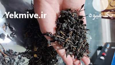چای دستی در گروه خرید فروش عمده چای - سبز ترش کوهی سیاه در یکمیوه -عکس4