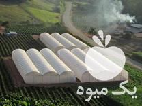 فروش سازه گلخانه صنعتی در گرمدره در گروه سازنده - گلخانه باغ مدرن سالن صنعتی سوله انبار در یکمیوه -عکس1
