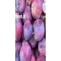 قیمت خرید سیب قرمز تکاب در گروه خرید فروش عمده سیب - زرد و قرمز گلاب پاییزه در یکمیوه