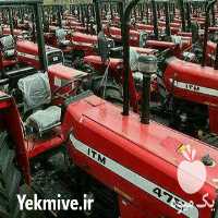 قیمت خرید تراکتور فرگوسون و باغی وا در تهران در گروه خرید فروش ابزار ها و تجهیزات کشاورزی - دستی برقی ماشینی بیل کلنگ در یکمیوه