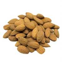 فروش قیمت خرید نهال بادام در شرکت یاشیل فیدان در گروه خرید فروش نهال - انواع گردو پسته بادام سلطانی انگور در یکمیوه