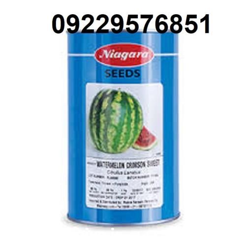 بذر هندوانه نیاگارا پرفروش اصل در گروه خرید فروش بذر - انواع محصول کشاورزی گوجه کتان میوه درخت در یکمیوه -عکس1