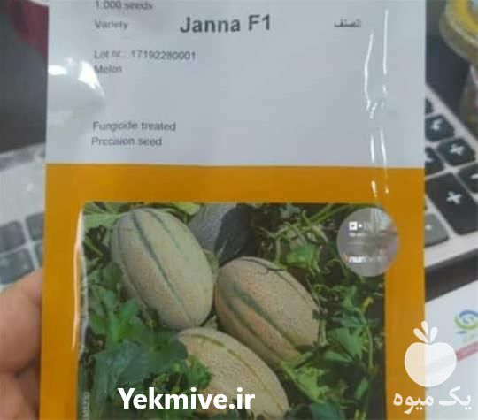 فروش بذر ملون جانا با کیفیت و مقاومت بالا در گروه خرید فروش بذر - انواع محصول کشاورزی گوجه کتان میوه درخت در یکمیوه -عکس1