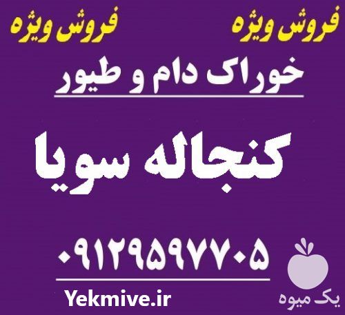 فروش کنجاله سویا در تهران در گروه خرید فروش عمده سویا - خوراکی تیم اسپانیول روغن در یکمیوه -عکس1