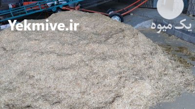 فروش کاه نرم و ذرت علوفه ای در قزوین در گروه سایر بسته بندی محصول در یکمیوه -عکس1