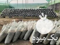 قیمت خرید برگ خرد شده و خرد نشده بلوط و جنگلی در بابل  در گروه خرید فروش کود و مواد شیمیایی - اوره پتاس مرغی کمپوست آهن در یکمیوه -عکس1