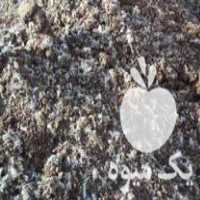 قیمت خرید کود مرغ قفسی و سالنی در مشهد در گروه خرید فروش کود و مواد شیمیایی - اوره پتاس مرغی کمپوست آهن در یکمیوه