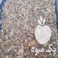 فروش ذرت علوفه فله و بسته بندی بصورت عمده و خرد در گروه خوراک دام و طیور - پرواری شیری علوفه یونجه در یکمیوه