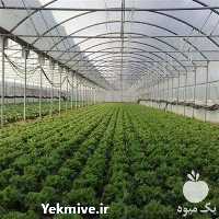 قیمت خرید نایلون کشاورزی و گلخانه ای با کیفیت عالی در گروه خرید فروش بسته بندی نایلونی - کیسه نایلکس مشما پلاستیک در یکمیوه