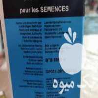 فروش بذر چغندر المانی بتاسید 5950 در نقده در گروه خرید فروش عمده چغندر - قند لبویی قرمز سفید در یکمیوه