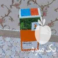 قیمت خرید بذر چغندر پیرولا ساچمه در صحنه در گروه خرید فروش عمده چغندر - قند لبویی قرمز سفید در یکمیوه