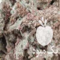 مرکز خرید و فروش سماق خوشه آسیابی و عطاری عید نوروز هفت سین در گروه خرید فروش عمده گیاهان دارویی - محصول گلخانه در یکمیوه