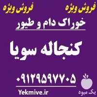 فروش کنجاله سویا در تهران در گروه خرید فروش عمده سویا - خوراکی تیم اسپانیول روغن در یکمیوه