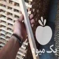 فروش چوب ممرز در حمزه در گروه خرید فروش عمده چوب و زغال- زغال چوب گردو تبریزی خام در یکمیوه