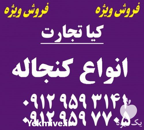 قیمت خرید انواع کنجاله در گروه نهاده ها دام و طیور در یکمیوه -عکس1