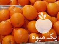 قیمت خرید تامسون انباری و سانگین خونی در ساری در گروه خرید فروش عمده پرتقال - پرتقال رسمی تامسون خونی جنوب در یکمیوه -عکس1