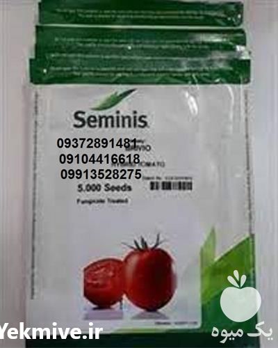قیمت خرید بذر گوجه فرنگی هیبرید مارول باردهی بسیار عالی در تهران در گروه خرید فروش بذر - انواع محصول کشاورزی گوجه کتان میوه درخت در یکمیوه -عکس1