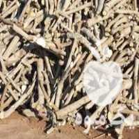 قیمت خرید چوب انجیر در خرم آباد در گروه خرید فروش عمده چوب و زغال- زغال چوب گردو تبریزی خام در یکمیوه