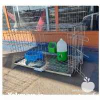 قیمت خرید قفس کبوتر در گروه مرغ و خروس و بوقلمون و اردک قو قاز در یکمیوه