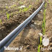 فروش پخش عمده نوار تیپ و لوله نخدار در همدان در گروه خرید فروش اتصالات و تجهیزات آبیاری - شیر لوله نوار در یکمیوه