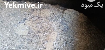 فروش کود کبوتر وحشی چاهی در گروه خرید فروش کود و مواد شیمیایی - اوره پتاس مرغی کمپوست آهن در یکمیوه -عکس2