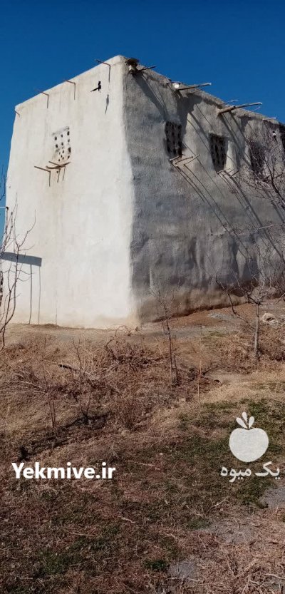 فروش کود کبوتر وحشی چاهی در گروه خرید فروش کود و مواد شیمیایی - اوره پتاس مرغی کمپوست آهن در یکمیوه -عکس3