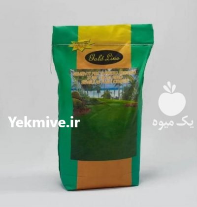 بذر چمن برموداگراس ایتالیا در کرج در گروه خرید فروش بذر - انواع محصول کشاورزی گوجه کتان میوه درخت در یکمیوه -عکس1