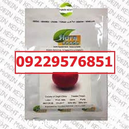 قیمت خرید بذر گوجه فرنگی راک پربار در کرمان  در گروه خرید فروش بذر - انواع محصول کشاورزی گوجه کتان میوه درخت در یکمیوه -عکس1