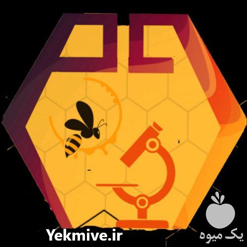 فروش ملکه و تلقیح مصنوعی زنبور عسل در گروه زنبورعسل - زنبورداری نوین صنعتی مدرن کندو در یکمیوه -عکس1