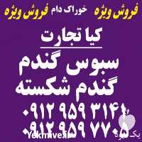 فروش گندم شکسته و سبوس گندم در تهران در گروه خرید فروش عمده گندم و جو - بلغور شیرازی فروش عمده محصول کشاورزی در یکمیوه