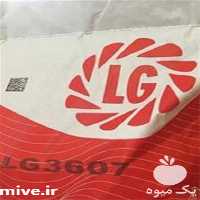 قیمت خرید بذر ذرت ال جی در گروه خرید فروش بذر - انواع محصول کشاورزی گوجه کتان میوه درخت در یکمیوه