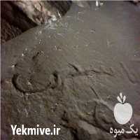 قیمت خرید کود خفاش در تهران در گروه خرید فروش کود و مواد شیمیایی - اوره پتاس مرغی کمپوست آهن در یکمیوه