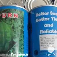 قیمت خرید عمده بذر هندوانه میکادو سفید در گروه خرید فروش بذر - انواع محصول کشاورزی گوجه کتان میوه درخت در یکمیوه