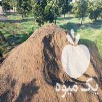 فروش کودگوسفندی خالص تمیز در قائم شهر در گروه خرید فروش کود و مواد شیمیایی - اوره پتاس مرغی کمپوست آهن در یکمیوه