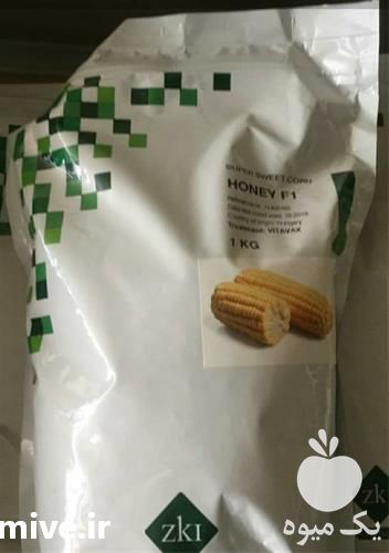 فروش بذر ذرت هانی هیبرید ZKI در قزوین در گروه خرید فروش بذر - انواع محصول کشاورزی گوجه کتان میوه درخت در یکمیوه -عکس1