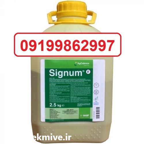 قیمت خرید و عرضه قارچکش سیگنوم در گروه خرید فروش کود و مواد شیمیایی - اوره پتاس مرغی کمپوست آهن در یکمیوه -عکس1