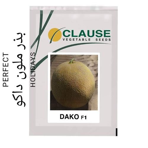 فروش بذر ملون داکو در گروه خرید فروش بذر - انواع محصول کشاورزی گوجه کتان میوه درخت در یکمیوه -عکس1