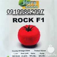 فروش بذر گوجه راک در کرمانشاه در گروه خرید فروش بذر - انواع محصول کشاورزی گوجه کتان میوه درخت در یکمیوه