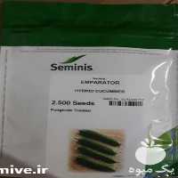 فروش قیمت بذر خیار امپراطور در گروه خرید فروش بذر - انواع محصول کشاورزی گوجه کتان میوه درخت در یکمیوه