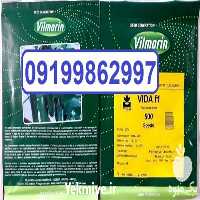 قیمت خرید بذر بوته ای خیار ویدا در گروه خرید فروش بذر - انواع محصول کشاورزی گوجه کتان میوه درخت در یکمیوه