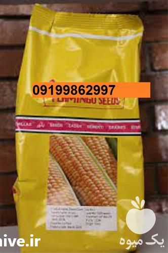 قیمت خرید قیمت بذر ذرت فلامینگو در اصفهان در گروه خرید فروش بذر - انواع محصول کشاورزی گوجه کتان میوه درخت در یکمیوه -عکس1