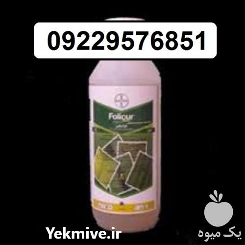 فروش سم قارچ کش فولیکور در اصفهان در گروه خرید فروش عمده قارچ - دکمه ای خوراکی دارویی پرورشی کوهی در یکمیوه -عکس1