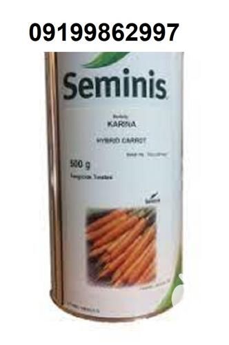 بذر هویج کارینا پرفروش اصل در خوزستان در گروه خرید فروش بذر - انواع محصول کشاورزی گوجه کتان میوه درخت در یکمیوه -عکس1